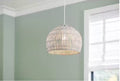 Allen + Roth Vale 1-Light Hanging Pendant Light