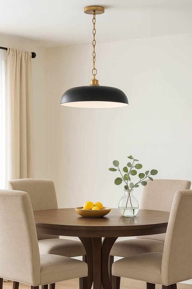 Black Dome Pendant with Brass Accents