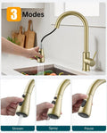 Brushed Gold Pull-Down Kitchen Faucet